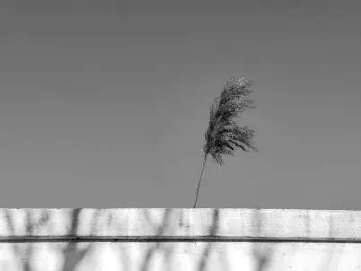 Kasino Classy Slots Mobiilisovellus